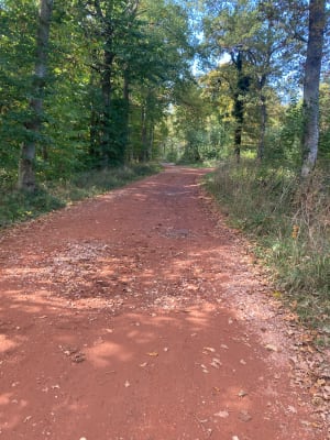 Balade au Bois de Bonne Eaux - Cedric - 7
