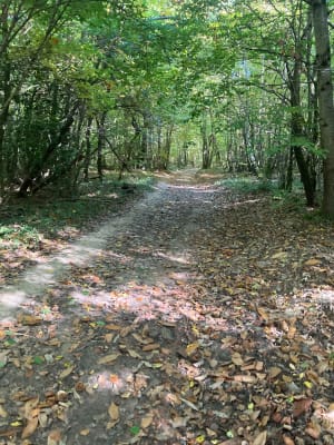 Balade au Bois de Bonne Eaux - Cedric - 8