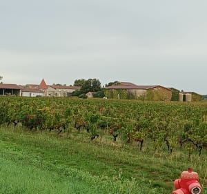 Balade à Parempuyre - Francine - 5