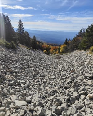 Uitstapje naar de Mont Ventoux - Bédoin - 8