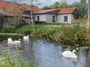 Dans le marais audomarois - Laurent - 6
