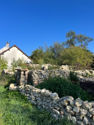 Balade dans les vergers et forêts de Saint Eloy-de-Gy - Vincent - 2