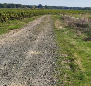 Le tour du Hellfest et Clos du Piteau - Wil - 2