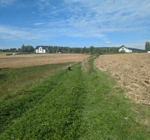Trasa Spacerowa i Chmielnik - Laura - 2