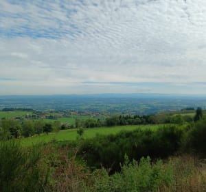Marche des vendanges de Saint-Haon-le-Vieux, par Châtelus - Lucie - 2