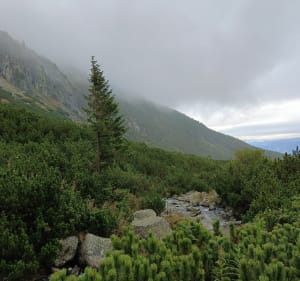 Wodospad Skok, Słowackie Tatry - Piotr - 2
