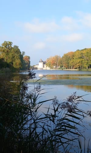 De Sully-sur-Loire à Saint-Aignan-le-Jaillard - Isabelle - 5