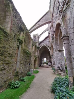 Autour de l'Abbaye de Beauport - Doineau - 4