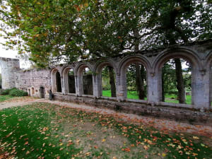 Autour de l'Abbaye de Beauport - Doineau - 5