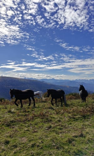 Razels Peak vanaf de Col de Port - David-Allan - 9