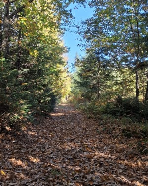 Chemin des Abbesses - circuit 2 - adeline - 7