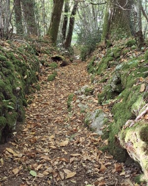 Chemin des Abbesses - circuit 2 - adeline - 11