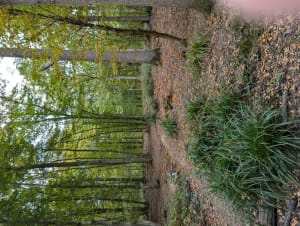 Balade pour toute la famille au Château de la Chasse - Valerie - 4