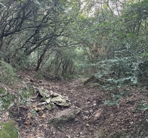 Tour par les grottes de Calès à Lamanon. - Eyguières - 2