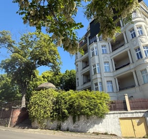 Świdnica dwa parki - Anna - 2