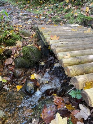 Balade le long de la Vologne et sa Cascade du Saut des Cuves - kracline - 3