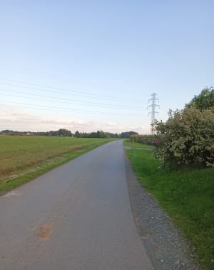 Spacer po wsi i Brzezówka - Filip - 5