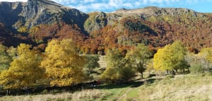 Wandelen naar Puy de Sancy vanaf Mont Dore - Didier - 9