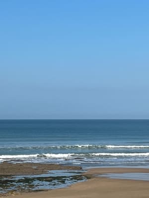 Vers l'écluse et plages des Granges à travers la forêt - anne - 6