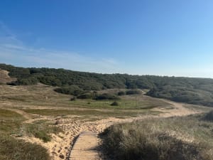 Vers l'écluse et plages des Granges à travers la forêt - anne - 7