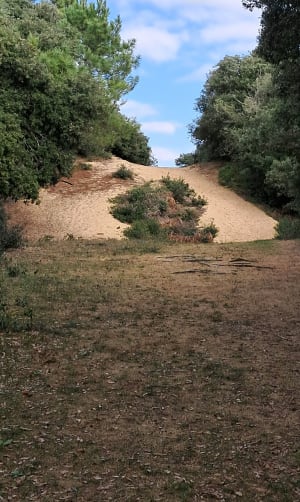 A la recherche du menhir à Olonne sur Mer - Christine - 6