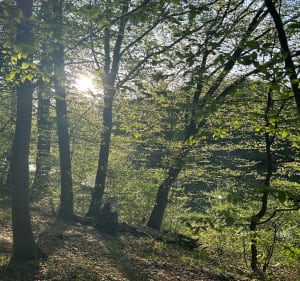 Siechnice-Kotowice - Anna - 4