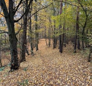 Siechnice-Kotowice - Anna - 2