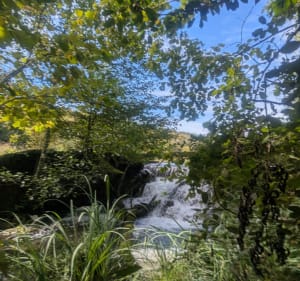 Étang de Roche Plage et Lac de la Save - Fabienne - 5