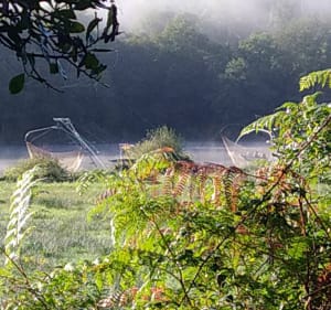 Balade en bordure de vilaine - Loic - 5