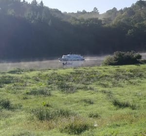 Balade en bordure de vilaine - Loic - 4