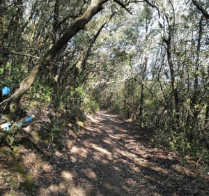 En route vers la roque sur Cèze__Rejeté - Kiner - 2