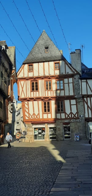 Centre-ville de Vannes - dominique - 7