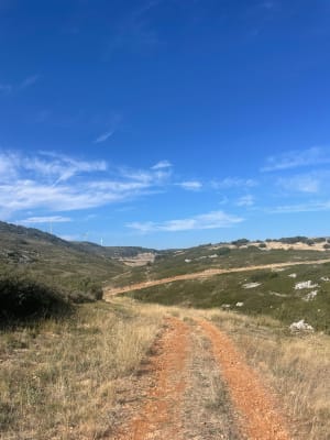 Collines de la Moure et huîtres de l'étang de Thau - Jennyfer - 6