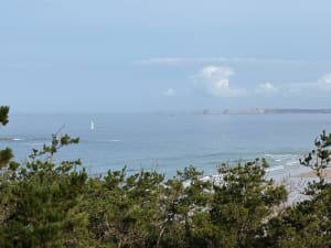 Kaap van de Geitenlus vanuit Saint-Hernot - Bruno - 35