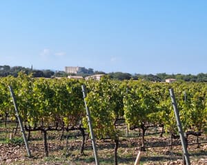 Evasion à Grignan et enchantement au cœur du Tricastin - bernadette - 3