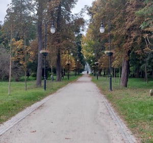 Spacer po parku - Paweł - 2