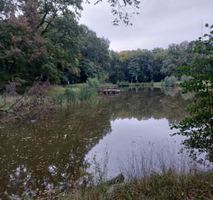 Spacer po parku - Paweł - 3