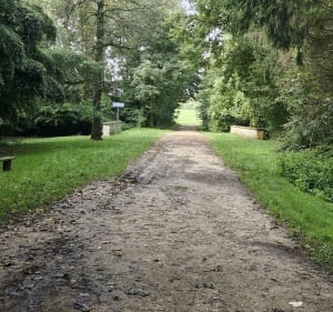 Marais de Sans fond et Saulon-la-Rue - DAVID - 3