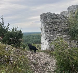 Z psem po skałkach - Olsztyn - 2