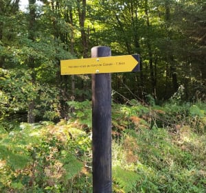 Promenade au Rond de Condé et Rond des Dames - Jean-francis - 2