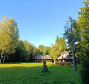 Białowieża - Agnieszka - 2