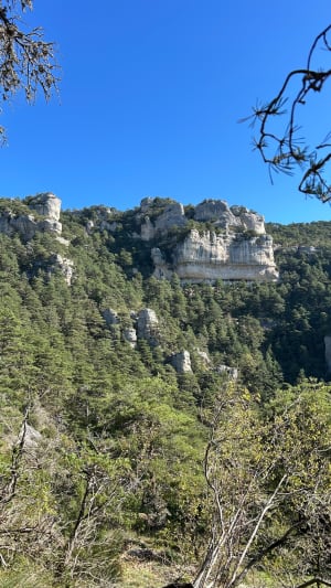Vase de Sevre, de Chine et balcons du vertige - Le Rozier - 4