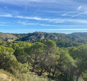 La balade du dimanche, par Roquerousse - Laurent - 4