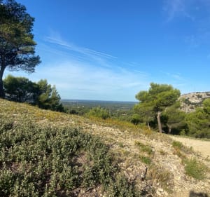 La balade du dimanche, par Roquerousse - Laurent - 5