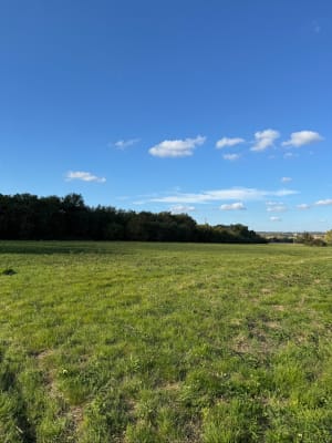 Petite balade en forêt depuis Cépet - Catherine - 4