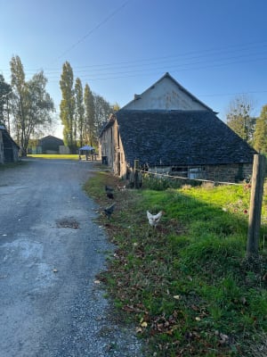 Le moulin de la Moltais - Philippine - 6