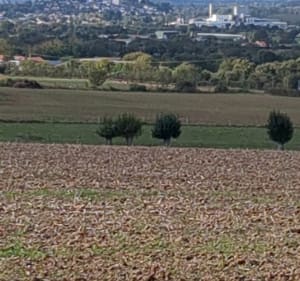 Balade dans les Mauges - Mauges-sur-Loire - 2