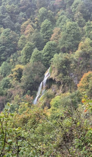 Pracht van de natuur tussen de Vercors-grot en de waterval - Yann - 8