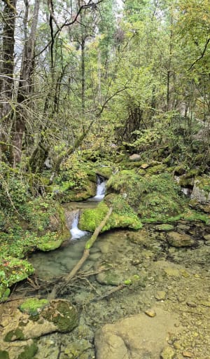 Pracht van de natuur tussen de Vercors-grot en de waterval - Yann - 4