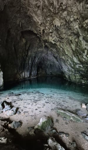 Pracht van de natuur tussen de Vercors-grot en de waterval - Yann - 7